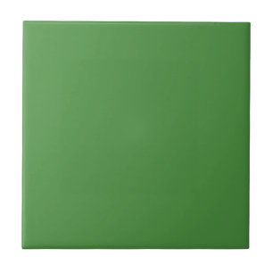 May Green Solid Color Fliese