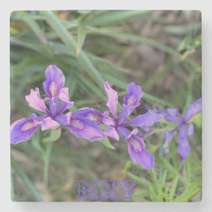 May Iris Steinuntersetzer