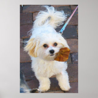 Maya mit Leaf Print Poster