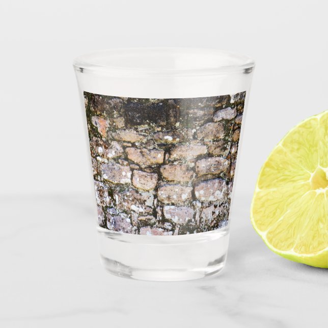 Maya-Ruinen Wand  Schnapsglas (Vorderseite)