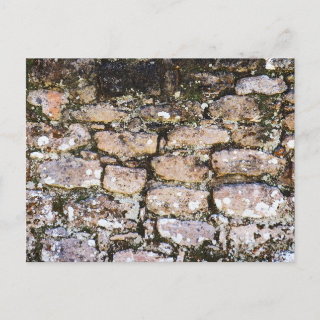 Mayan Ruins Wall Postkarte (Vorderseite)