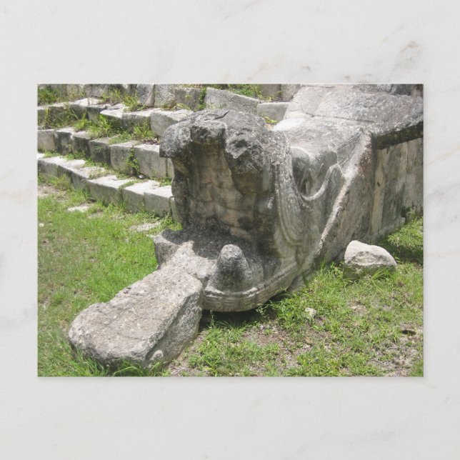 Mayan Snake Postkarte (Vorderseite)