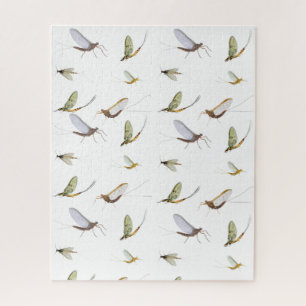 Mayflies