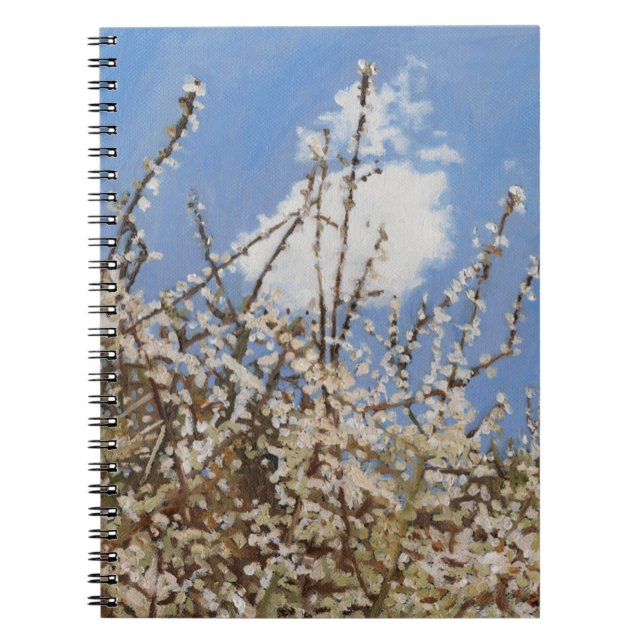 Mayflower 2012 notizblock (Vorderseite)