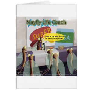 Mayfly Life Coach Funny