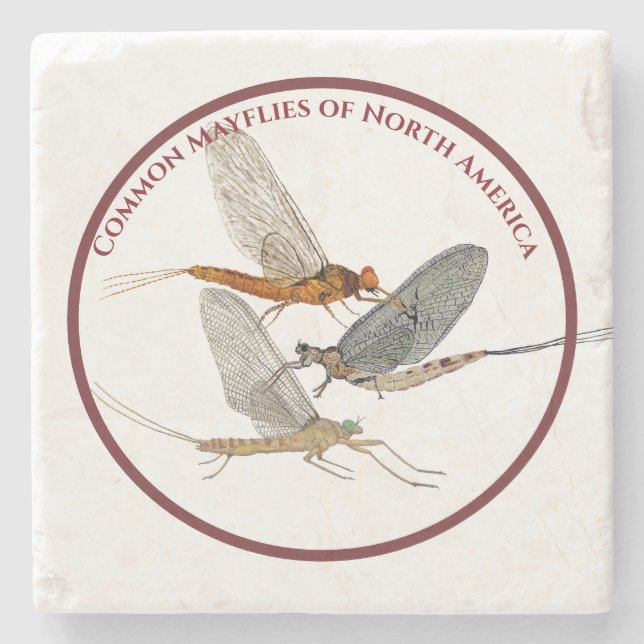 Mayfly-Untersetzer Steinuntersetzer (Vorderseite)