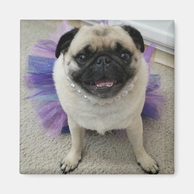 Maylene Magnet (Vorne)