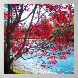 Maymont Gardens Red Maple Treatment New Orleans Cl Poster