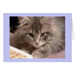 Maynards kitschige neue Karte