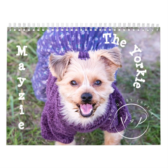 Mayzie Calendar II (Stil 2022) Kalender (Titelbild)