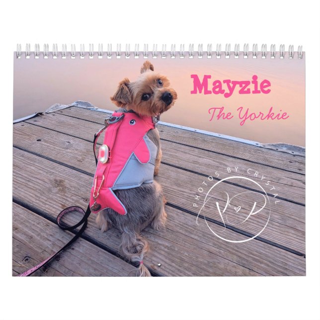 Mayzie Calendar V (Stil 2024) Kalender (Titelbild)