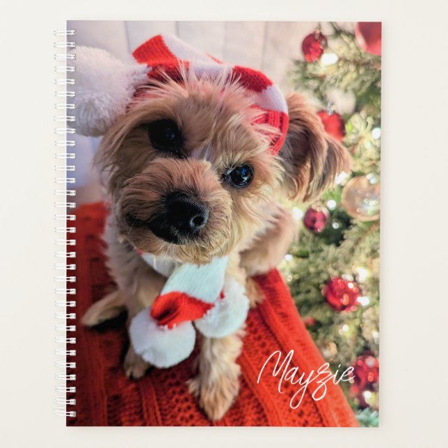 Mayzie Planner (Devant)