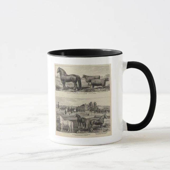 McAfee-Eigentum, Topeka McCrumb, Kansas Tasse (Rechts)
