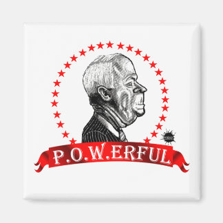 McCAIN-P.OW. Magnet