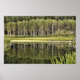 McCall Teich Poster