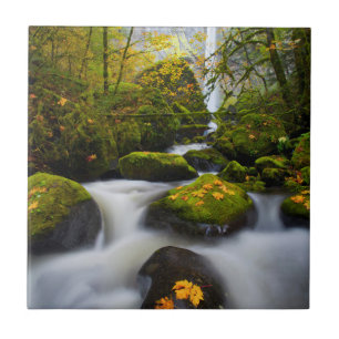 McCord Creek Bigleaf-Ahorn   Columbia Gorge, OR Fliese