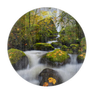 McCord-Creek-Bigleaf-Ahorn  Columbia - Schlucht, O Schneidebrett