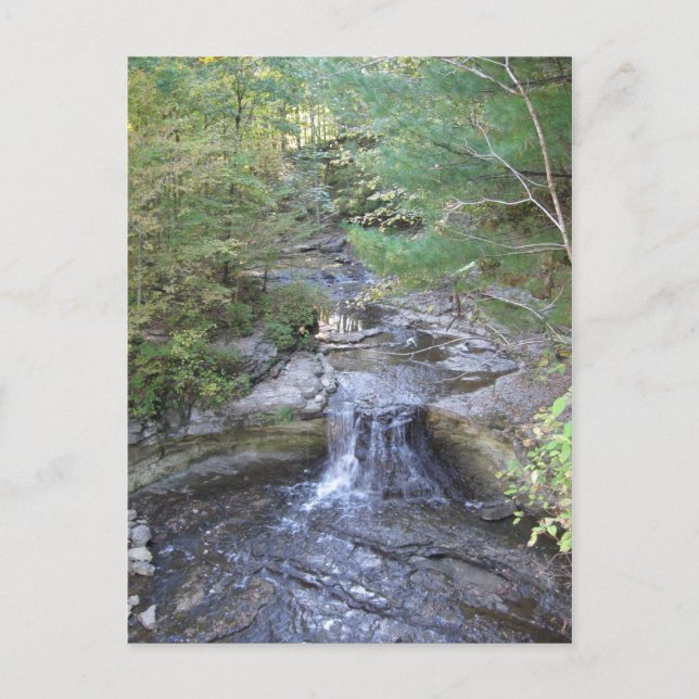 McCormicks Creek-Wasserfall-Postkarte Postkarte (Vorderseite)