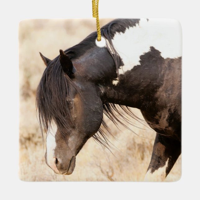 McCullough Peaks Washakie Wild Horses Ceramic Orna Keramikornament (Vorderseite)