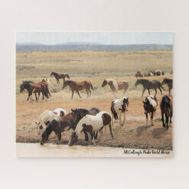 McCullough Peaks Wild Horses