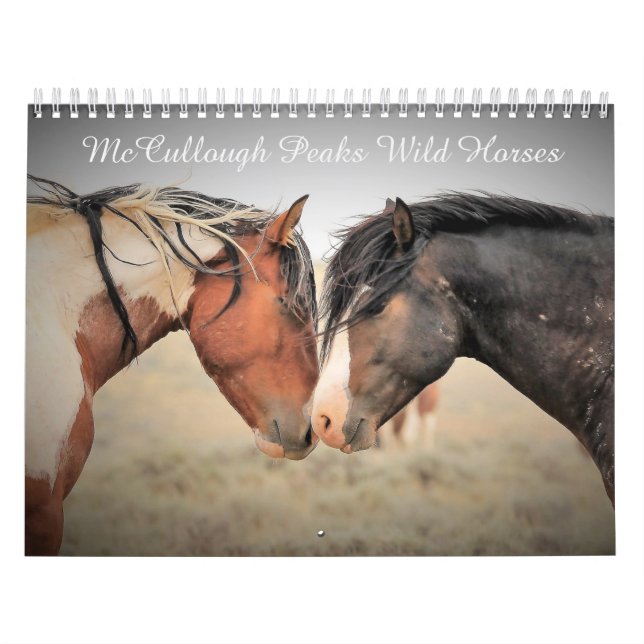 McCullough Peaks Wilde Pferde Kalender (Titelbild)