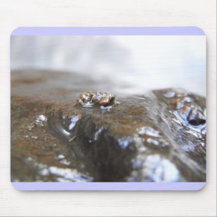 McDonald-Dunn. Eichen-Nebenfluss. Uenoidae Mousepad