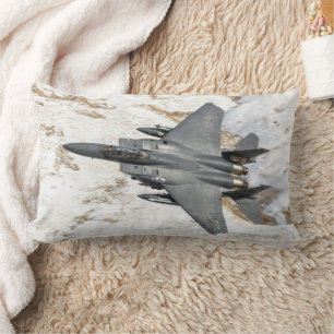 McDonnell Douglas F-15 Eagle Lendenkissen