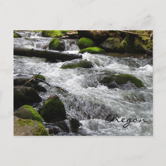 McDowell Creek, Oregon Postkarte (Vorderseite)