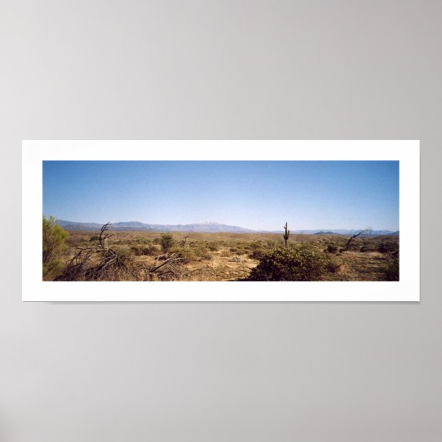 McDowell-Nationalpark Poster (Vorne)