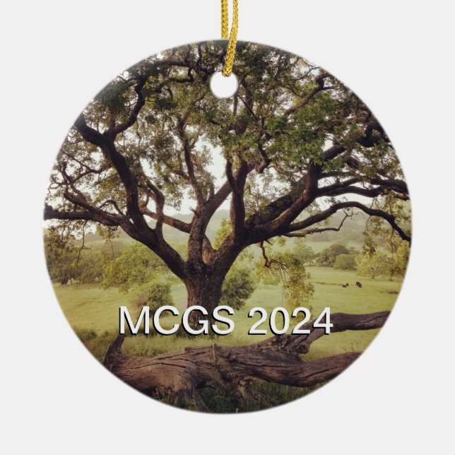 MCGS Tree Ornament 2024 (Vorne)