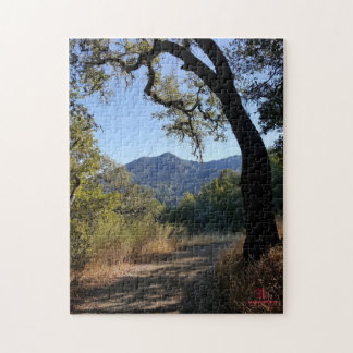 MCGS Vue du Puzzle Mt Tam