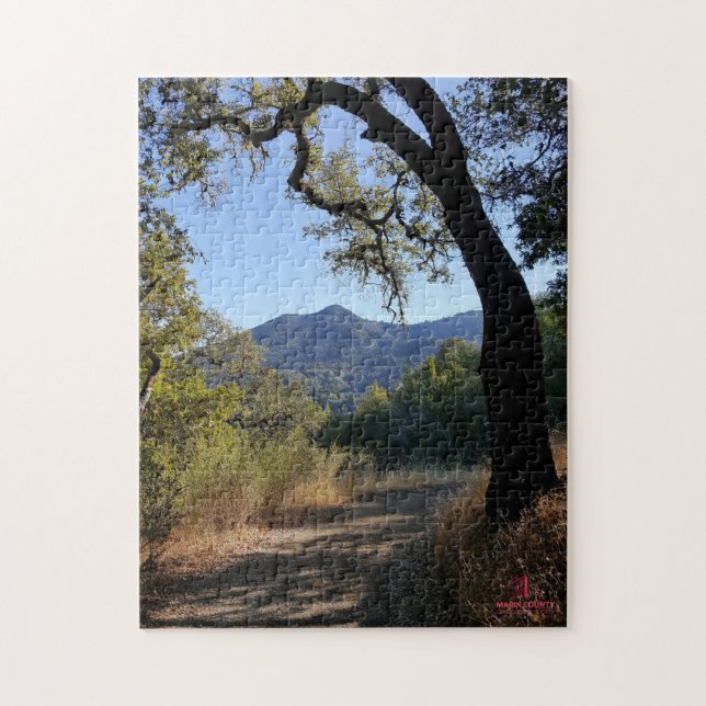 MCGS Vue du Puzzle Mt Tam (Vertical)