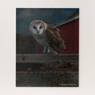 "McHoots The Watch Owl"