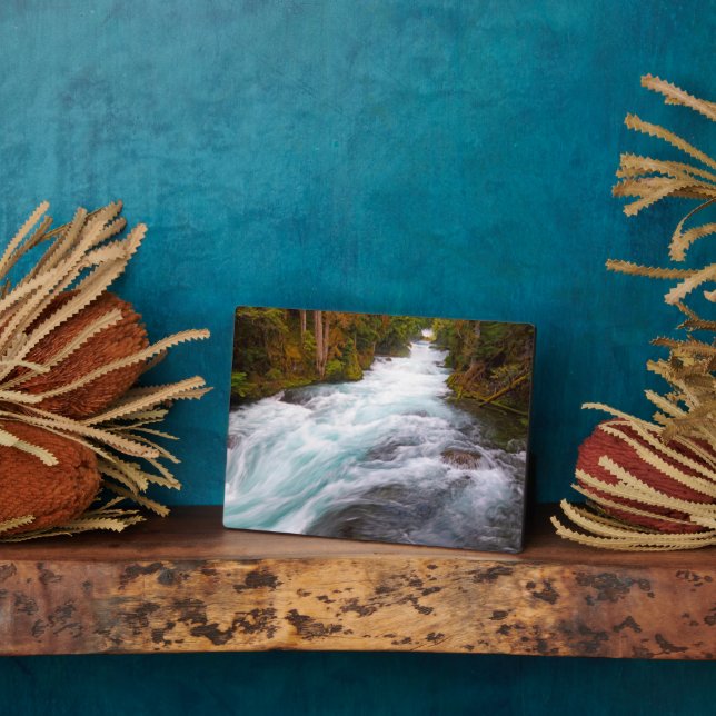 McKenzie River | Oregon Fotoplatte (Seite)