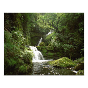McLean Falls South Island Neuseeland Fotodruck