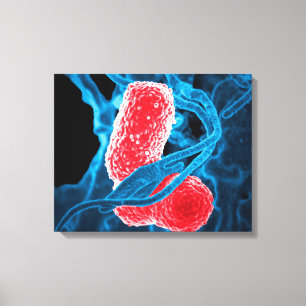 (MDR) Klebsiella pneumoniae abstrakte Leinwanddruck