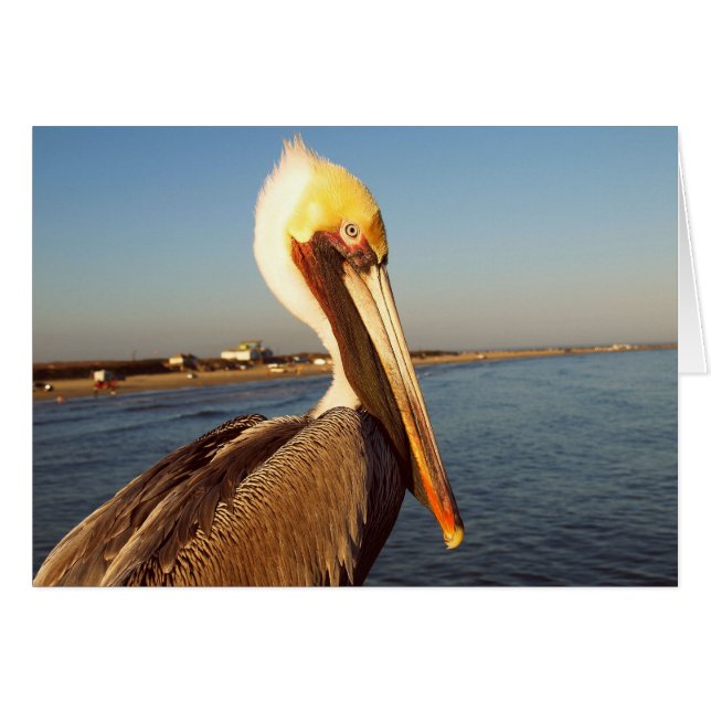 Me faire rougir (Devant Horizontal)