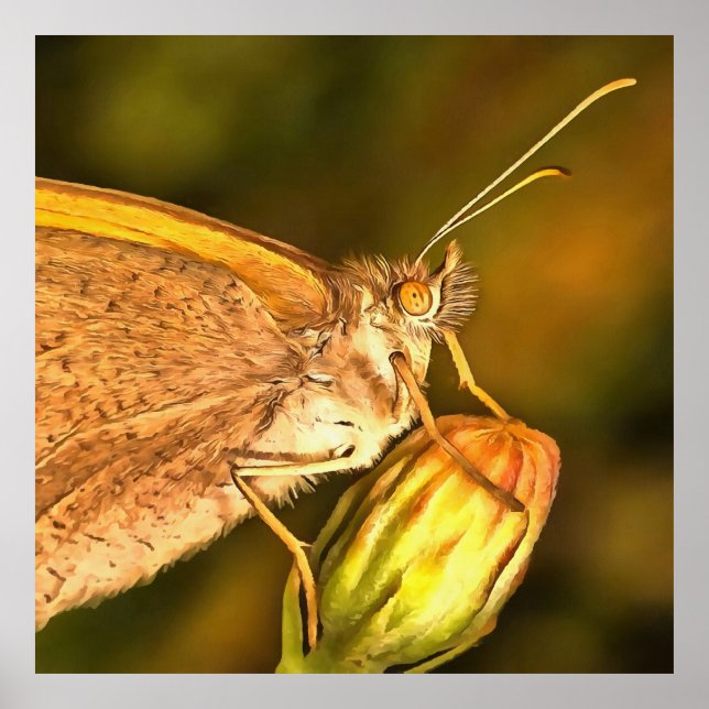 Meadow Brown Schöne Schmetterlingskunst Poster (Vorne)