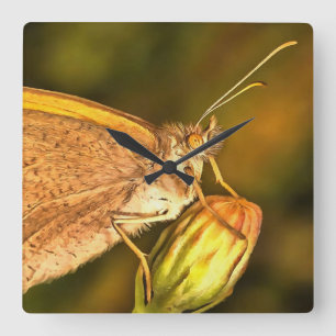Meadow Brown Schöne Schmetterlingskunst Quadratische Wanduhr