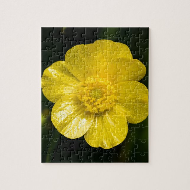 Meadow Buttercup (Vertikal)