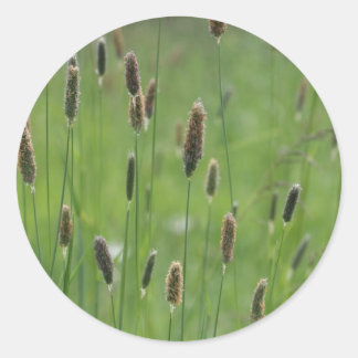 Meadow Foxtails Runder Aufkleber