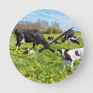 Meadow full of dandelions with grazing cows runde wanduhr