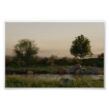 Meadow Lake