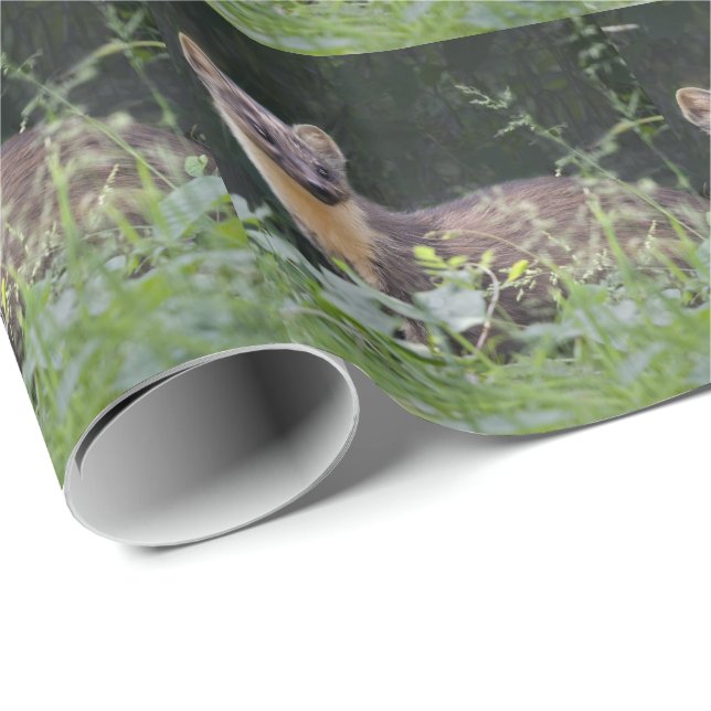 Meadow Marten Wrapping Paper Geschenkpapier (Rolleneckpunkt)