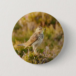 Meadow Pipit-Abzeichen Button