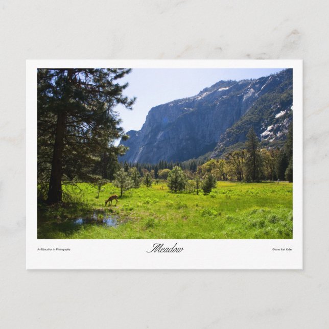 Meadow Postcard Postkarte (Vorderseite)