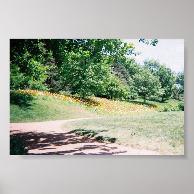 Meadow Poster (Vorne)