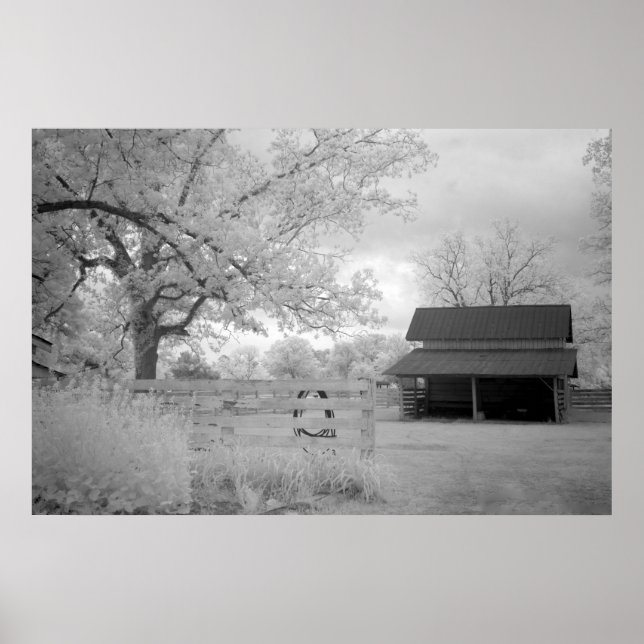 Meadowbank-Farm Poster (Vorne)
