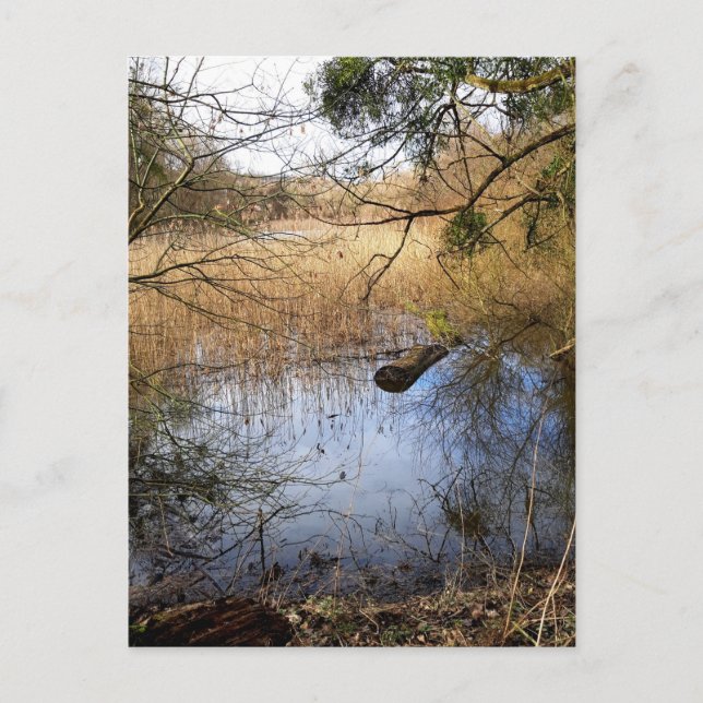 Meadowiner Postkarte (Vorderseite)