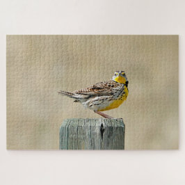 Meadowlark
